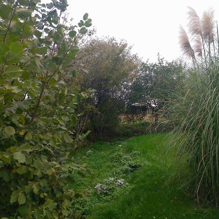 Gite De La Basse Roche Souge  外观 照片