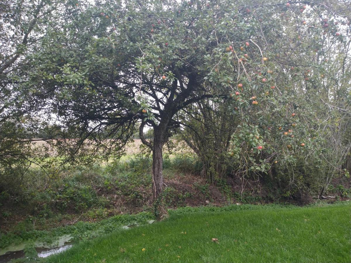 Gite De La Basse Roche Souge  外观 照片